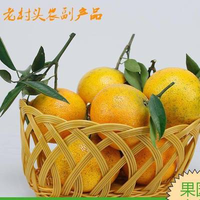 四川愛媛38號柑橘 產(chǎn)地直銷的甜潤佳果